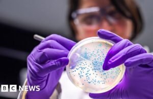 Las bacterias transforman el plástico en plástico en analgésicos