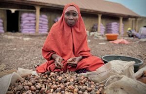 Nigeria ha prohibido las exportaciones de mantequilla de karité para ayudar a las mujeres a aprovechar. Pero se volvió