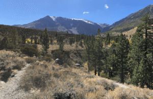 Excursionistas cerca de Yosemite Hunker y piden ayuda como balas de Mercury News