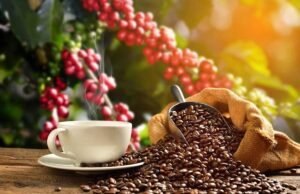 Los precios del café se retiran en pronósticos de lluvia para Brasil