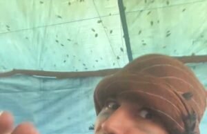 Migrante del canal afgano declarado culpable de amenazar con matar a Nigel Farage en una publicación de TikTok