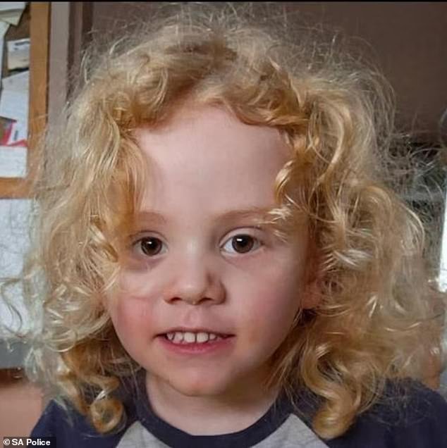 102925419-15245131-Four_year_old_August_Gus_Lamont_pictured_went_missing_on_Saturda-a-8_176189395525.jpeg