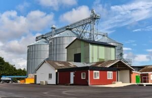 Suecia comenzará a almacenar alimentos mientras se prepara para la guerra y admite que existe el riesgo de que Putin “aísle completamente” al país