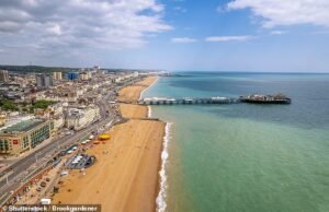 Mujer de 33 años, ‘violada en la playa de Brighton’ por tres hombres, entre ellos un solicitante de asilo rechazado y un ‘delincuente de inmigración’ que vive en el hotel para solicitantes de asilo del Ministerio del Interior, según escucha el tribunal