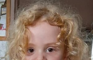 Imágenes “viles” de IA complican la búsqueda de un niño de 4 años desaparecido en el interior de Australia