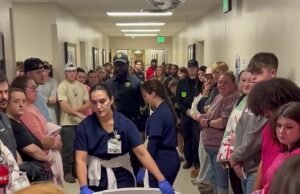 Una animadora de 18 años es trasladada de urgencia a un hospital abarrotado para donar su corazón y sus pulmones después de que un extraño de 27 años le disparara en una fiesta.
