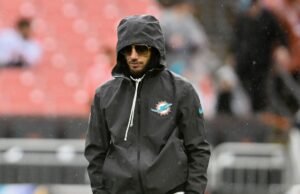 Mike McDaniel: Concéntrese en entre 1 y 6 delfines, no en mi propio trabajo