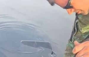 Las autoridades sacan del río un Jaguar que lucha con heridas de bala en una dramática operación de rescate