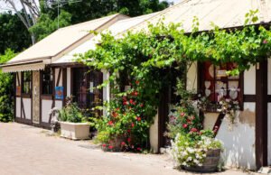 Este pueblo alemán único en el sur de Australia ofrece calles patrimoniales, estudios de arte y viñedos en las laderas.