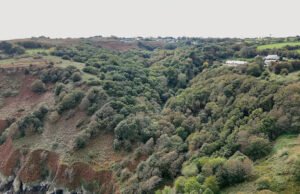 La popularidad de los bosques está “pasando factura”