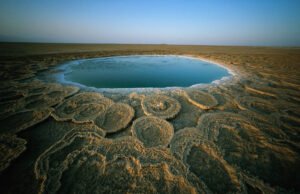 7 maneras extraordinarias de ver el mundo cobrar vida al amanecer