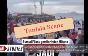 El video no muestra la llegada de Samud Flatilla a Gaza, una multitud reunida en la playa tunecina para apoyarlos pasando por