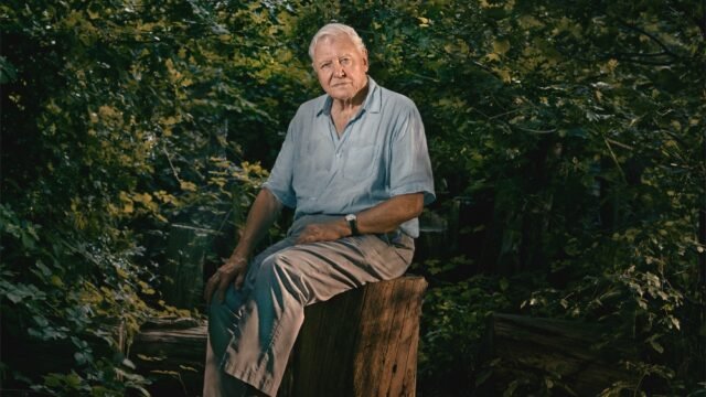 David-Attenborough.jpeg