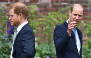 El príncipe William hizo comentarios raros sobre el hermano Prince Harry