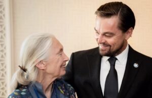 El último mensaje de Leonardo DiCaprio a Jane Goodall: “Eres mi héroe”