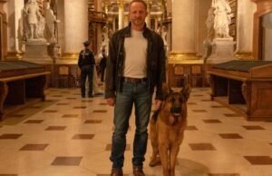 “Rex – Vienna Calling” comienza la producción