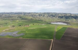 El grupo ambiental Palo Alto compra tres granjas por $ 7.8 millones