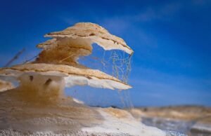 ‘Salt of the Earth’ trae fotografías de naturaleza extraña a Berkeley