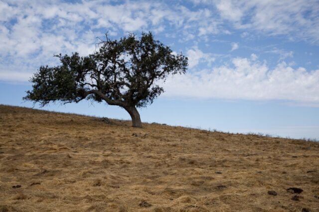 SJM-L-RANCH-1006-5.jpg