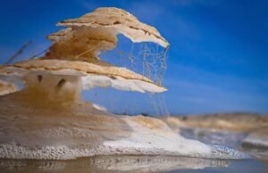 7 grandes cosas para hacer en el área de la bahía este fin de semana, del 17 al 19 de octubre