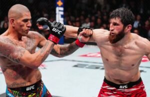 Cómo ver Ankalaev contra Pereira 2 PPV Online