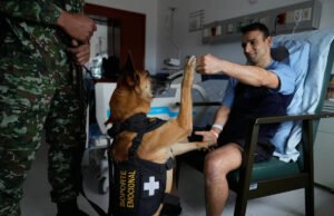 Los soldados colombianos encuentran consuelo en la “fuerza de piel”