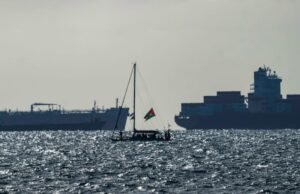 Catorce alemanes retenidos en Israel como 171 activistas de la flotilla expulsada