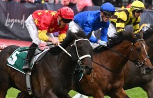 Guía de formularios, terreno, predicciones y probabilidades; David Gately aconseja a Providence vencer al favorito Observer