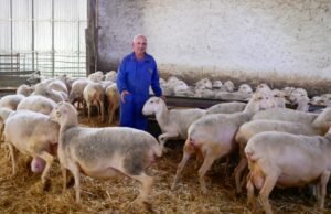 La extrema derecha cosecha los votos, mientras que las reglas climáticas sacuden la España rural