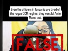 Imagen de Gaza y vídeo de IA vinculados falsamente a la violencia postelectoral en Tanzania