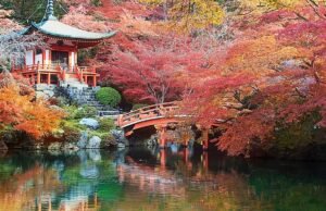 Esta aerolínea japonesa ofrece vuelos nacionales gratuitos a viajeros del Reino Unido y Europa.