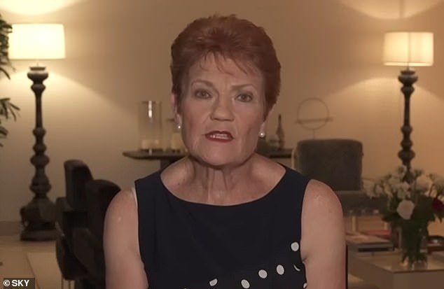 103560493-15254683-Pauline_Hanson_has_attended_Donald_Trump_s_exclusive_glittering_-m-14_17622134741.jpeg