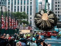 El árbol de Navidad del Rockefeller Center de este año, de 80 pies y 12 toneladas, llega a Nueva York para dar inicio a las fiestas