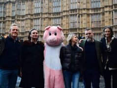 Una organización benéfica de derechos animales que cuenta con Lily Allen, Hugh Grant y Sting como partidarios difunde conspiraciones antisemitas que acusan a los ‘sionistas’ de ser responsables del Holocausto, el 11 de septiembre y la guerra en Ucrania.