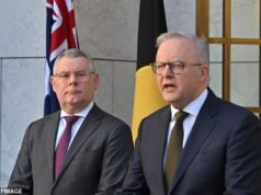 Albo llega a un mega acuerdo con GREEN: esto es lo que significa para el país