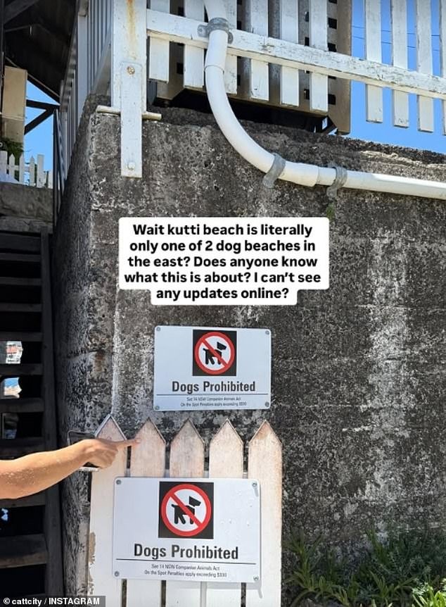 104287107-15336789-Woollahra_Council_has_banned_dogs_from_Kutti_Beach_in_Vaucluse_S-m-20_17643925655.jpeg
