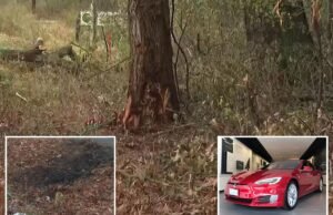 Los niños demandan a Tesla después de que sus padres murieran en un accidente con fuego tras una supuesta falla en la manija de la puerta