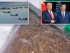 China planea bloquear envíos de tierras raras a contratistas militares estadounidenses: informe