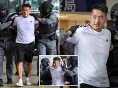 She Zhijiang, presunto jefe criminal extraditado a China