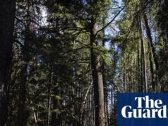 Dejó su trabajo de oficina y caminó 3,541 millas desde México a Canadá: ‘Date permiso’ | Caminar