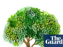 ¿Cuántos árboles talamos al día para hacer papel? El cuestionario para niños | Cuestionarios y cuestionarios