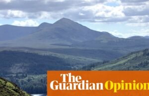 La opinión de The Guardian sobre la reforma agraria escocesa: grandes propiedades siguen siendo de escala feudal | Editorial