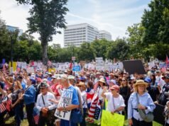 El verdadero éxito de “No Kings” fue dinamizar la resistencia