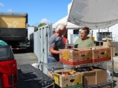 Responsabilizar al gobierno por el fiasco del SNAP