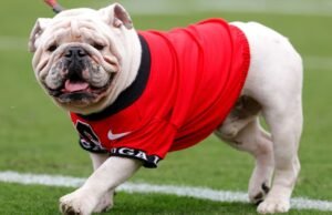 Georgia y Oklahoma pasan al Top 25 de AP; tres equipos del Grupo de los 5 clasificados