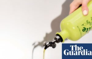 “Premium pero sin ostentación”: los mejores aceites de oliva virgen extra para ofrecer en lugar del vino | comida y bebida navideña