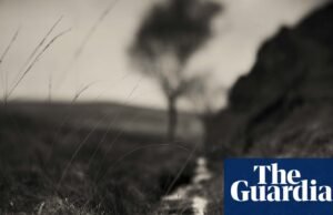 “Aquí el único peligro son las serpientes”: escribió Orwell en 1984 – en imágenes