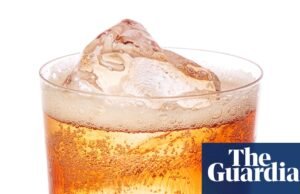 Cóctel de la semana: el pequeño fragolino del Bar Lina – receta | Cócteles