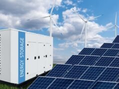 ReNew obtiene 331 millones de dólares del BAfD para proyecto renovable