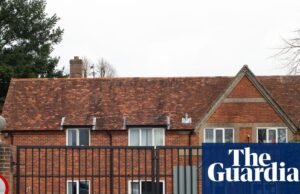 Los niños seccionados sufren más traumas en instituciones destinadas a protegerlos | salud mental